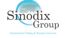 Sinodix Group ICT Services